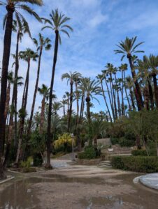 Fotorelacja z wyjazdu na kurs językowy w Hiszpanii w Alicante.